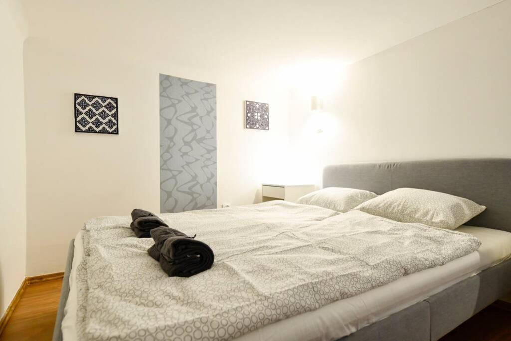 Cosy Two Bedroom Flat In Rottenbiller Str,Sky Budapest Kültér fotó